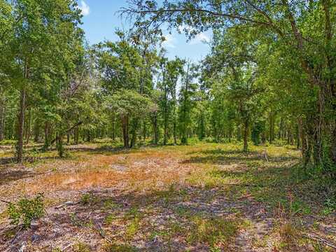 CASTLEWOOD RD LOT 1, SEFFNER, FL 33584