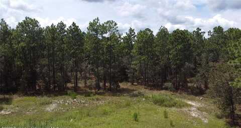 GOLDDUST ROAD, SPRING HILL, FL 34609