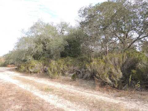 6691 NE 112TH AVENUE, WILLISTON, FL 32696