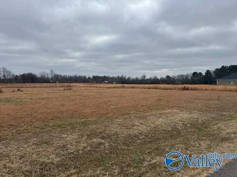 .47 Acres Red Hill Road, Athens, AL 35611