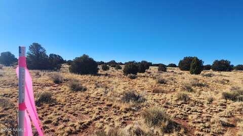 3372 E Valencia Rd Lot A, Williams, AZ 86046