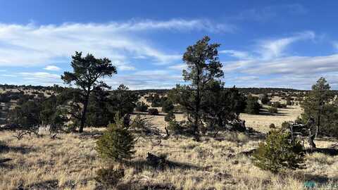 27 Equestrian Lane Road, Quemado, NM 87829