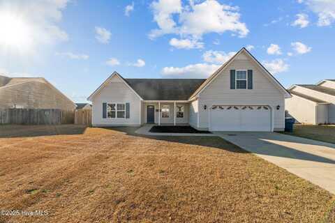 1317 Shellbark Court, Havelock, NC 28532