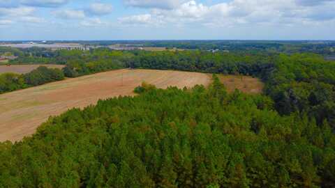 0 County Road 33, Headland, AL 36345