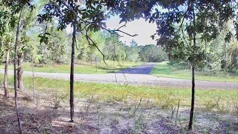 1877 W Pendleton St, Citrus Springs, FL 34434
