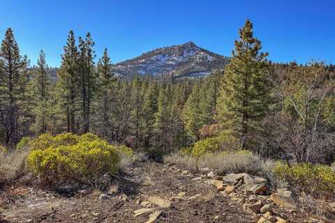 3000 22N05Y, Beckwourth, NV 96129