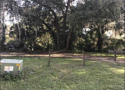 Tbd CR 435 Highway, Lake Panasoffkee, FL 33538