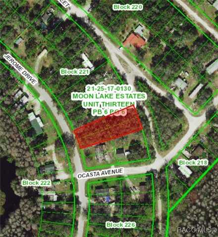 Lot 30&31&36&37 Jerome Drive, New Port Richey, FL 34654
