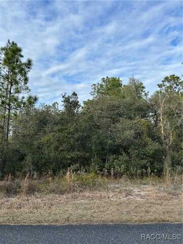 Tbd SW Huckleberry Lane, Dunnellon, FL 34431
