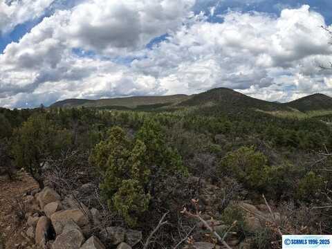 Xxx Mystic Way, Pinos Altos, NM 88053