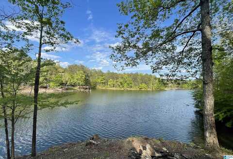 Lot 1 Tract A WATERS WAY, WEDOWEE, AL 36278