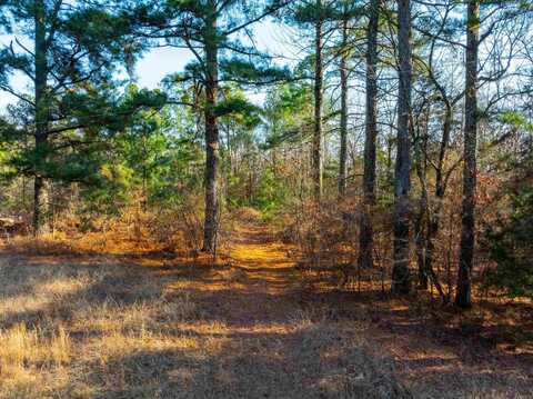 TBD Castle Drive, Batesville, AR 72501