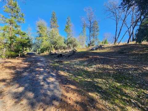 19760 Highway 26, West Point, CA 95255