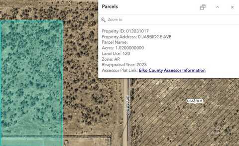 Jarbidge Avenue, Spring Creek, NV 89815