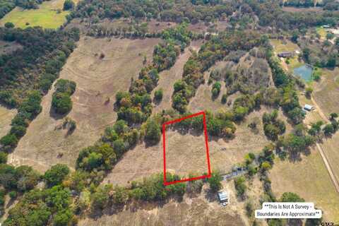 1.25 Acres NE CR 2060, Mount Vernon, TX 75457