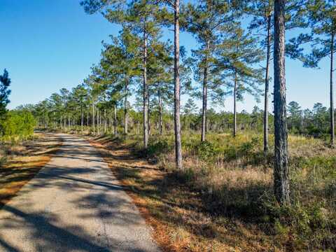 001 A Busby Rd., Ellisville, MS 39437