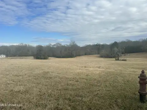 Meadow Oaks Lane, Clinton, MS 39056