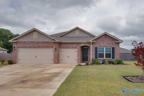 26321 Jones Spring Drive, Athens, AL 35613