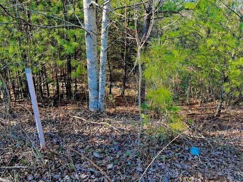 Lot 14 Valley Court, East Ellijay, GA 30540