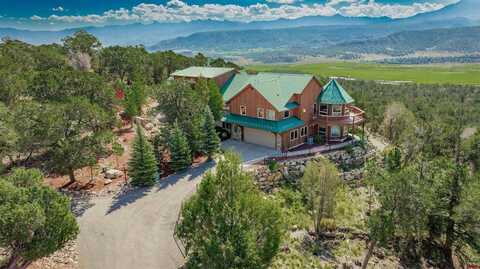 411 Pleasant Valley Drive, Ridgway, CO 81432