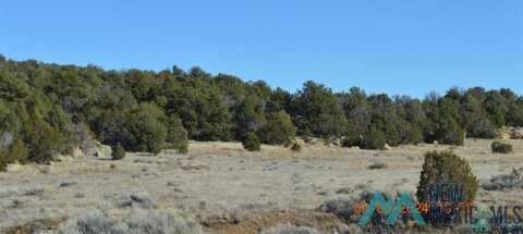 Tbd Sierra De Manana Drive, Candy Kitchen, NM 87321