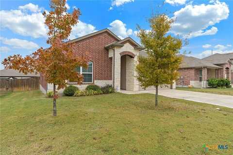 2207 Flintshire Drive, New Braunfels, TX 78130