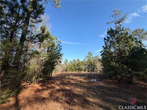 0 Hornets Bridge Drive, Elberton, GA 30635