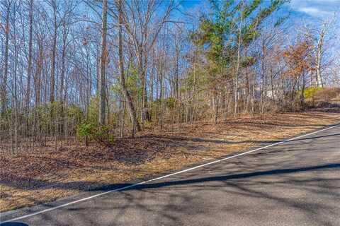 100 Park Green Way, Landrum, SC 29356