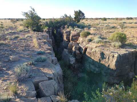 Lot 682 Chevelon Canyon Ranch --, Heber, AZ 85928