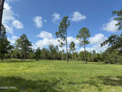 0 Lake Drive, Marianna, FL 32448