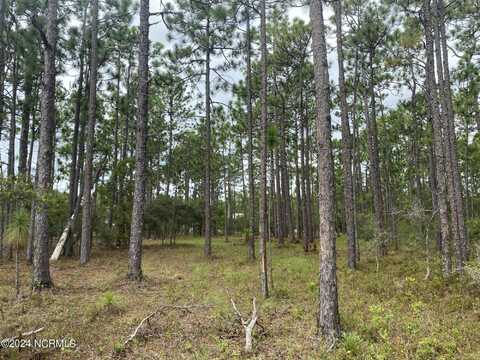 5 Lots Madison/Monroe Road, Boiling Spring Lakes, NC 28461