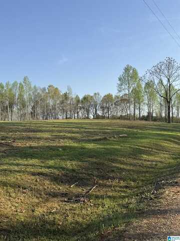 13.8+/- Acres PEACE OF MIND DRIVE, LINEVILLE, AL 36266