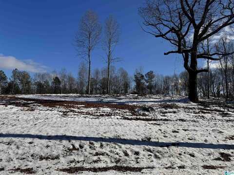 15+/- Acres PEACE OF MIND DRIVE, LINEVILLE, AL 36266