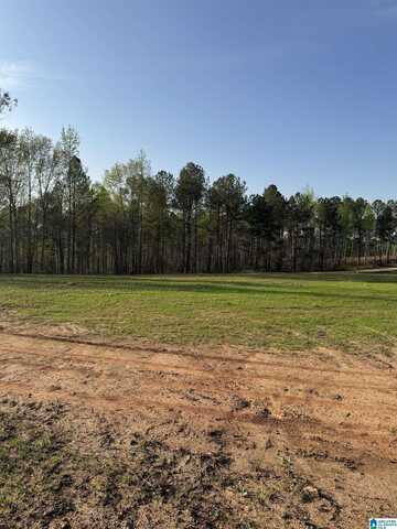 13.8 +/- Acres PEACE OF MIND DRIVE, LINEVILLE, AL 36266