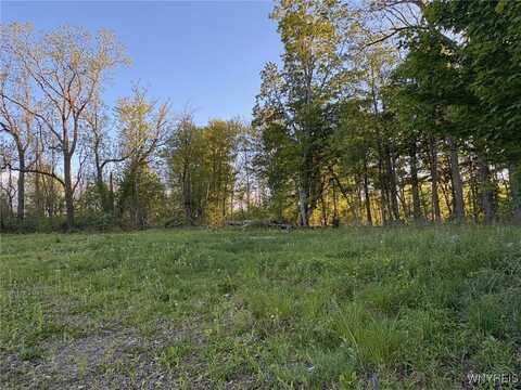 1441 Sturgeon Point Road, Evans, NY 14047