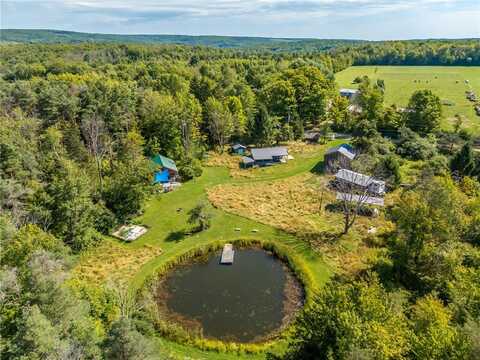 9545 Redman Road, Allen, NY 14735