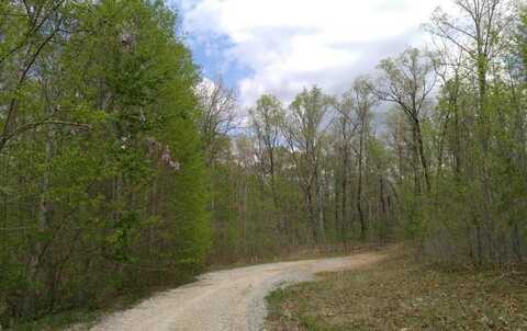 Lot 10 Green Forest Road, Dunlap, TN 37327