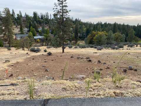 440 Buckthorn Drive, Murphys, CA 95247