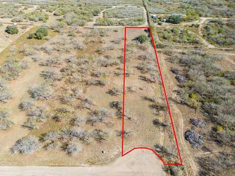 171 Swinney Switch Shores, Dinero, TX 78368