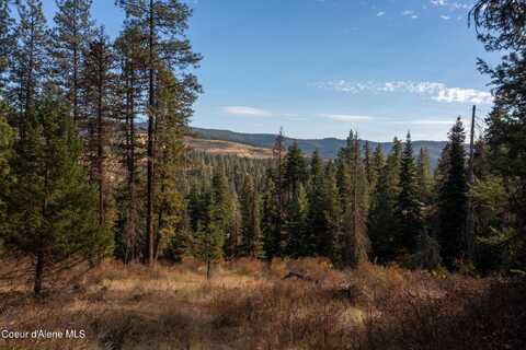 Nna Glacier Dr., Saint Maries, ID 83861