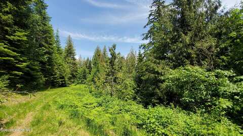 Nka Trout Pond, Athol, ID 83801