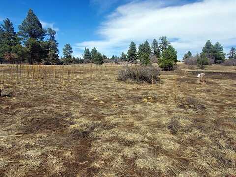 1346 Trails Boulevard, Pagosa Springs, CO 81147