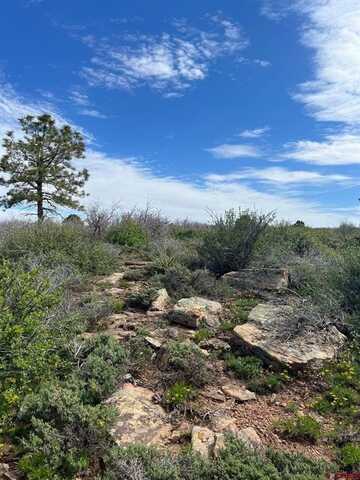 Lot 30 County Road C-3, Dove Creek, CO 81324