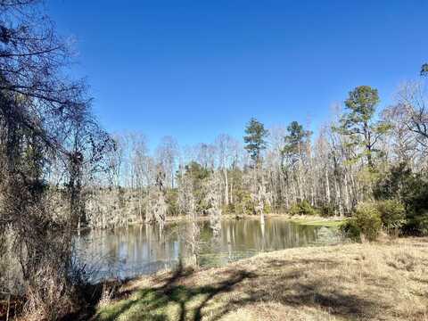 425 Cantley Road, Harleyville, SC 29448