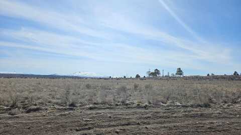 3056 Monte Carlo Drive, Jackpot, NV 83301