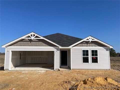 96 (lot 27) Buggy Top Lane, Autryville, NC 28318