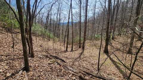 Lot 8 Crepe Myrtle Lane, Franklin, NC 28734