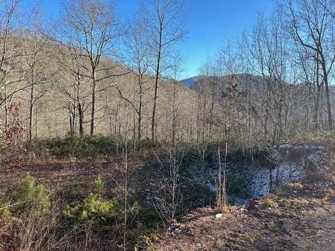 Long Creek Preserve, Bryson City, NC 28713