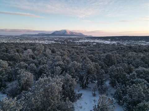 22 PUNCH Court, Tijeras, NM 87059