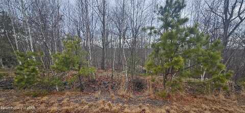 TT Lot 497 White Oak Lane, Hazle Twp, PA 18202